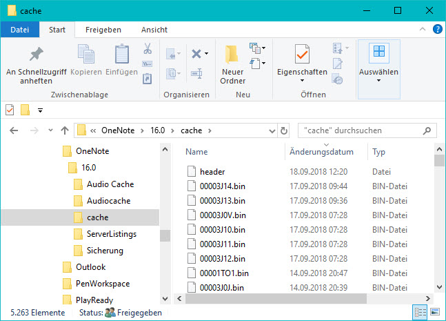 Grundlagen: Der OneNote-Cache Und Offline-Notizen | OneNote-Blog